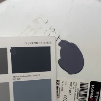 Polisan Dış Cephe Boyası