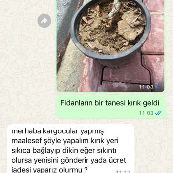 Yalova Su Fidan Kırık Fidana Para Alıyor