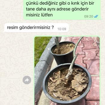 Yalova Su Fidan Kırık Fidana Para Alıyor