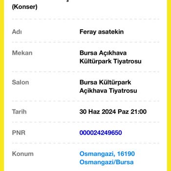 Biletinial.com Çifte Satılan Biletler Ve Mağduriyet