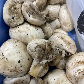 Özkuruşlar Kokmuş Ürünleri Gönderiyorlar