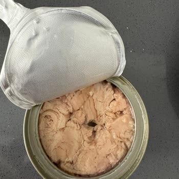 Dardanel Ton Balığının Bozuk Çıkması