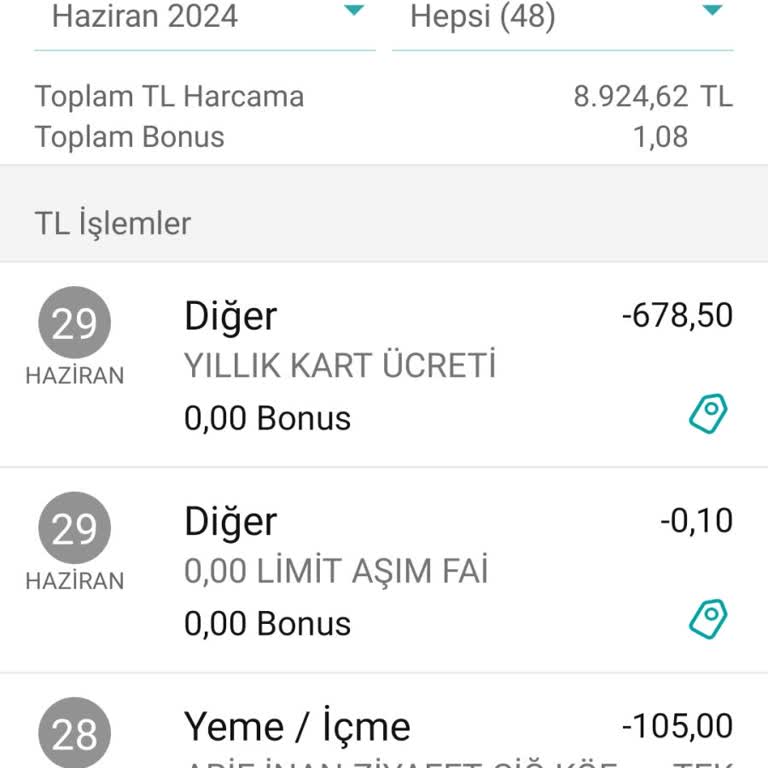 Garanti Bba Kredi Kartı