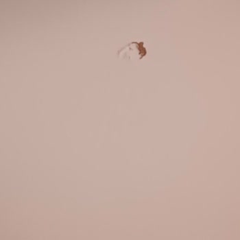 Kastamonu Kervan AVM'de Büyük Hayal Kırıklığı: Defolu Ürünler