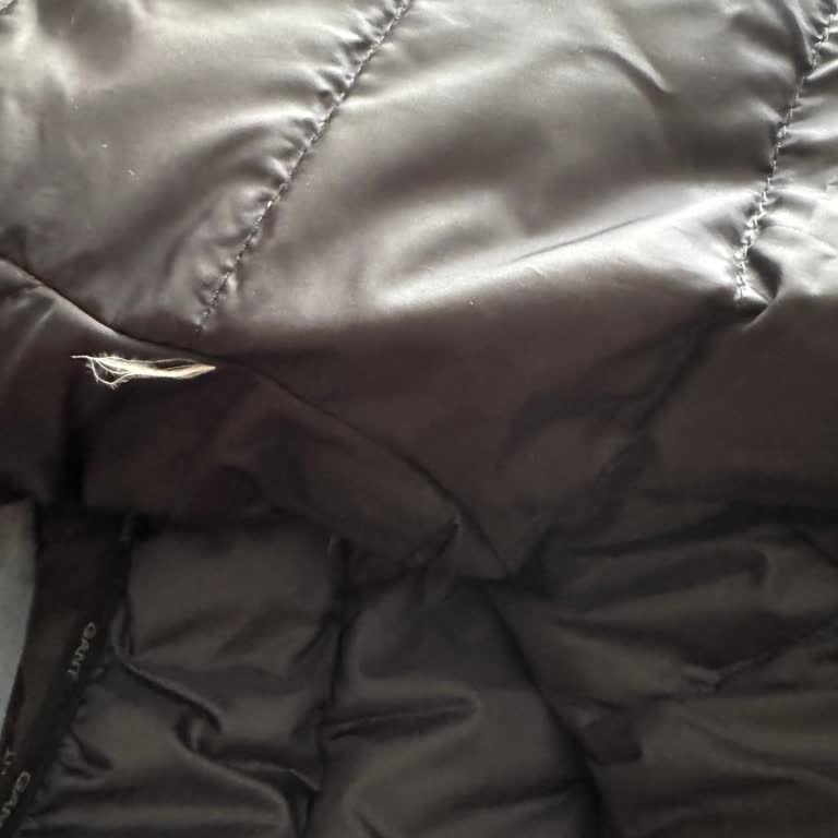 Gant Tüyler Çıkmaya Başladı