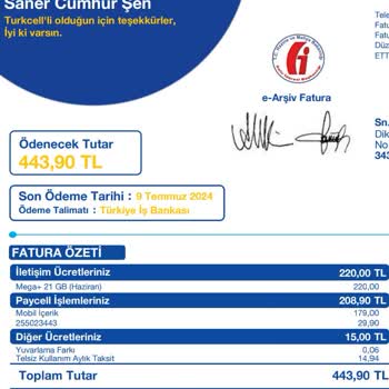 Vizyon Elektronik Para İzinsiz Başlatılan Zaplium Üyeliği