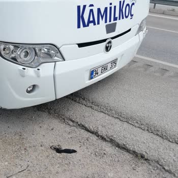 Kamil Koç Ve Hüsran Bir Yolculuk