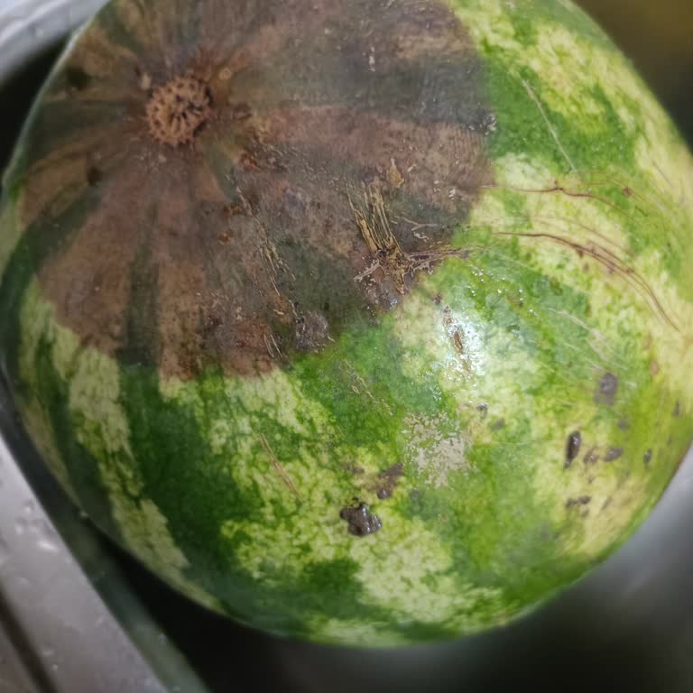 Migros Hemen Çürük Ürün Yolluyor