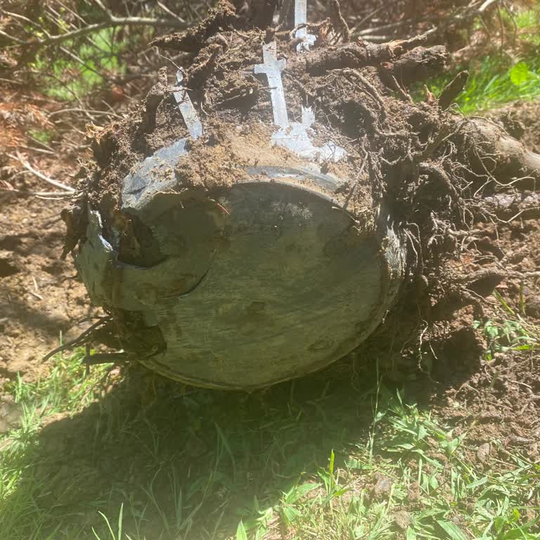 İris Peyzaj Saygısızlığı