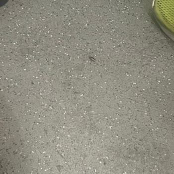 Kamil Koç Güzergah N1999 Otobüs Yolculuğunda Böcekler