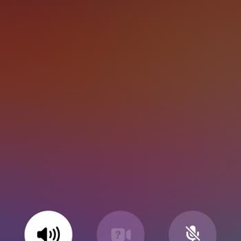 Çelebi Yer Hizmetleri Uçakta Kaybolan Tekerlekli Sandalye Sorunu