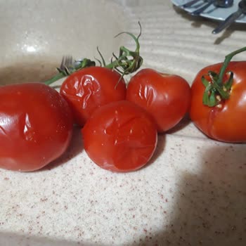 Migros Sanal Market Eryaman