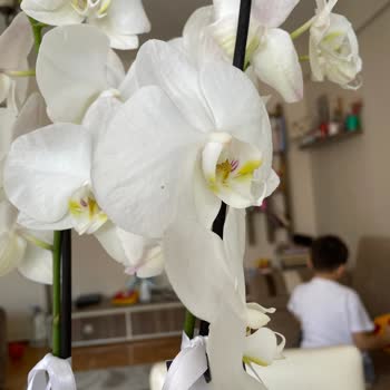 Çiçek Sepeti Kaliteyi Düşürmüş