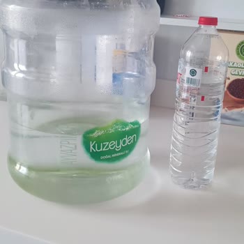 Kuzeyden Su Kuzeyden Damacana Su Yeşilliği