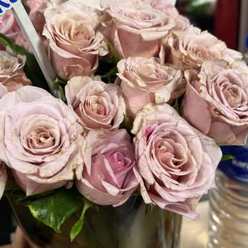 ÇiçekSepeti Özensiz Hediye Teslimi