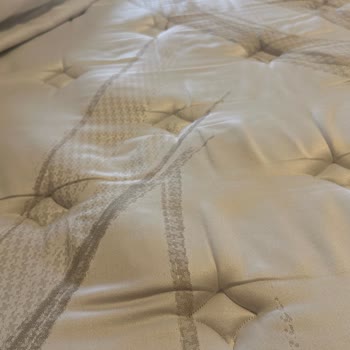 Yataş Tesla Sleep Potluklar Meydana Geldi