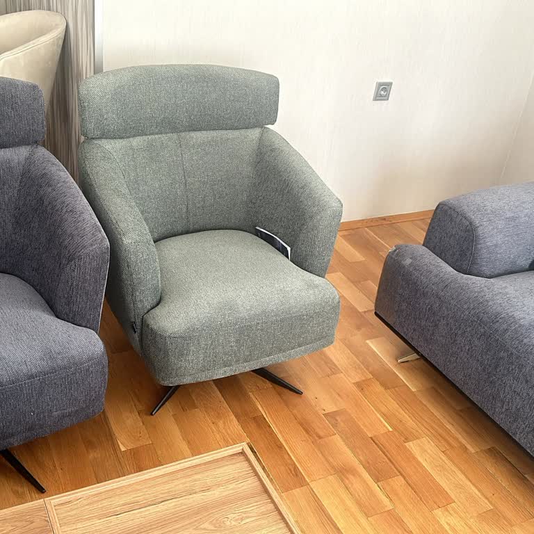 Enza Home'dan Satın Aldığım Hatalı Renk Berjer