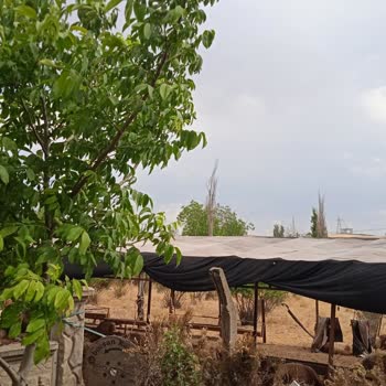 Çevre, Şehircilik Ve İklim Değişikliği Bakanlığı Hayvancılık Yapan Komşumdan Rahatsızlığım Var