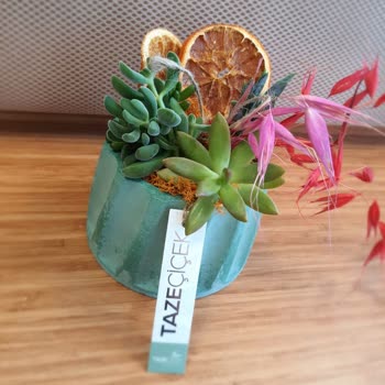 Tazecicek.com Kalitesiz Ve Görseldekiyle Alakasız Ürün Gönderimi