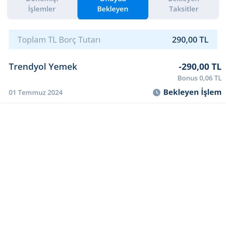 Domino's Pizza Ankara Eryaman Şubesinde Sipariş Problemi