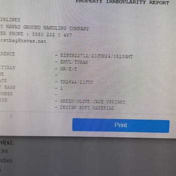 THY Elektronik Sistemle Cevap Vermiyorsunuz