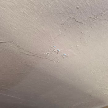 Marshall Kabaran Dökülen Pul Şeklinde Çatlayan Hatalı Boya Satıyor