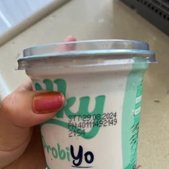 Nilky Küflü Hindistan Cevizi Yoğurdu