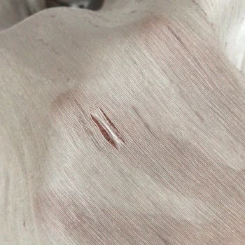 34dress (Instagram) Alara Kiralık Sıkıntısı