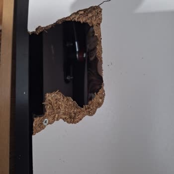 Modalife Ciddiyetsizlik Müşteri Mağduriyeti