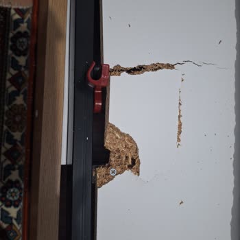 Modalife Ciddiyetsizlik Müşteri Mağduriyeti