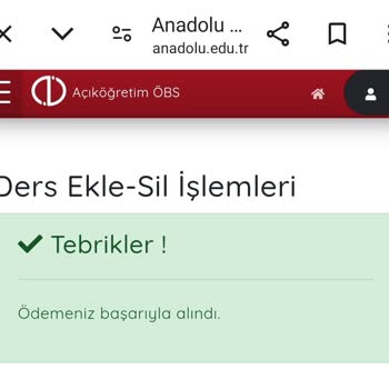 Anadolu Üniversitesi Yaz Okulu Pasif Öğrenci