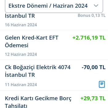 Denizbank Usulsüz Faiz Ve Gider Tahsilatı