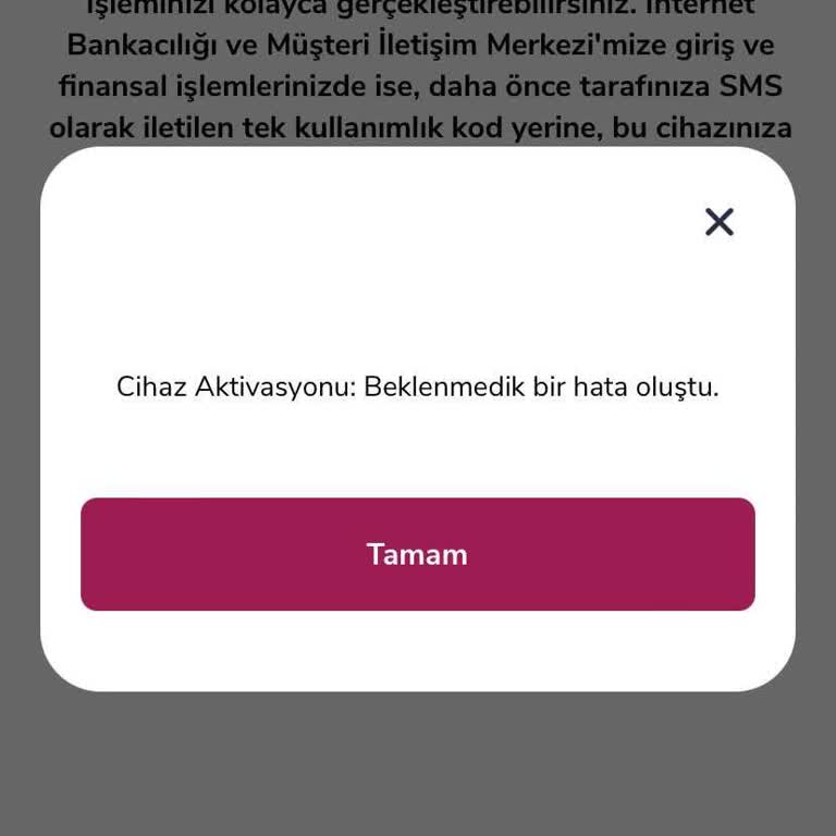Alternatifbank APP'ine Ve Sitesine Almanya'dan Giriş Yapamıyorum