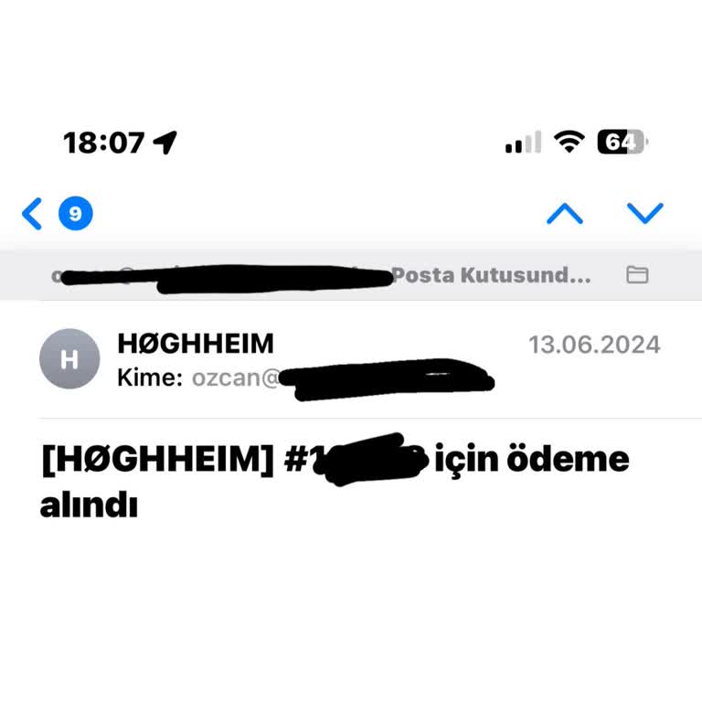 Hoghheim 19. Gün Siparişim Gelmedi