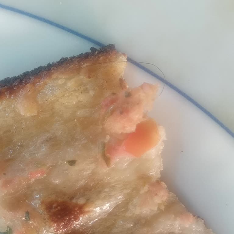 Konyalılar Restaurant Yemeğimde Kıl Çıktı!