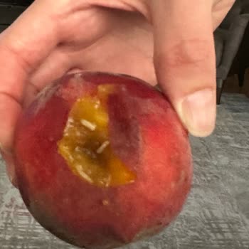 Carrefour SA Meyvelerin Tümü Kurtlu Çürük Ezik Geldi