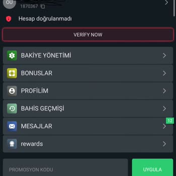 Maksibet Parama El Koydu