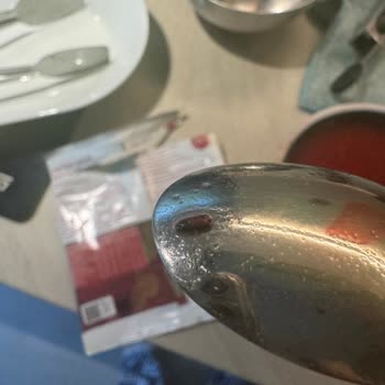 The Lifeco Thelifeco Böcekli Çorba