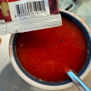 The Lifeco Thelifeco Böcekli Çorba