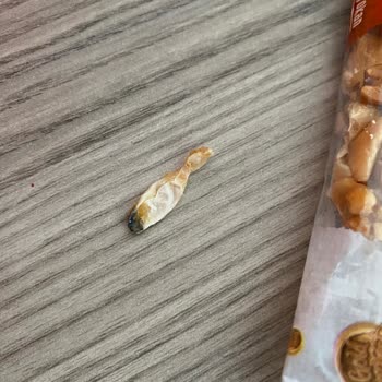 Gold Harvest Kuruyemiş Yiyecekte Plastik Çıktı