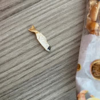 Gold Harvest Kuruyemiş Yiyecekte Plastik Çıktı