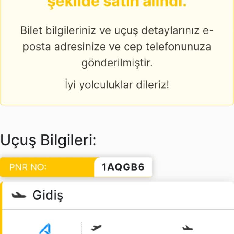 Ajet (Anadolu Jet)  Aydınlatma Eksikliği Ve Müşterinin Mağdur Edilmesi