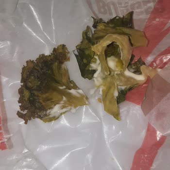 Burger King Yaptığım Alışverişten Memnun Değilim