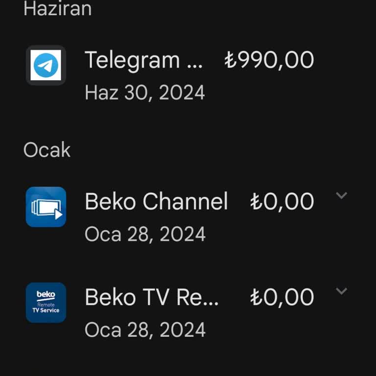 Telegram Yüksek Ücretlerden Dolayı Kullanmak İstemiyorum