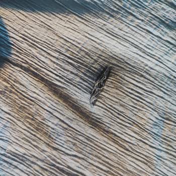 Zara'dan Aldığım Yırtık Pantolonu İade Almıyorlar