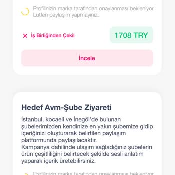 Teamfluencer.co Başvurular Onay Bekleniyor Durumunda Kaldı
