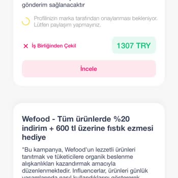 Teamfluencer.co Başvurular Onay Bekleniyor Durumunda Kaldı