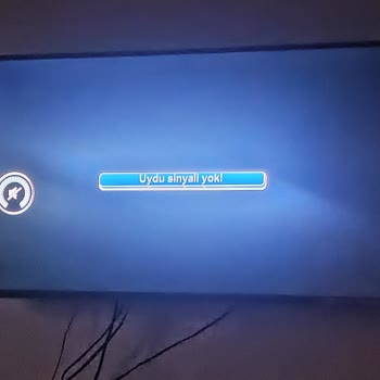 TRT Milletle Alay Ediyor Maç Saatinde Sinyal Yok 11794 Dikey 30000