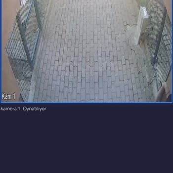 Aras Kargo Teslim Edilmeyen Kargo