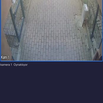 Aras Kargo Teslim Edilmeyen Kargo